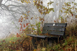 Photo for Oct 27-31, Virtual Community Holistic Healthcare Week