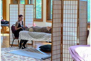 Photo for In Person Holistic Healthcare Day